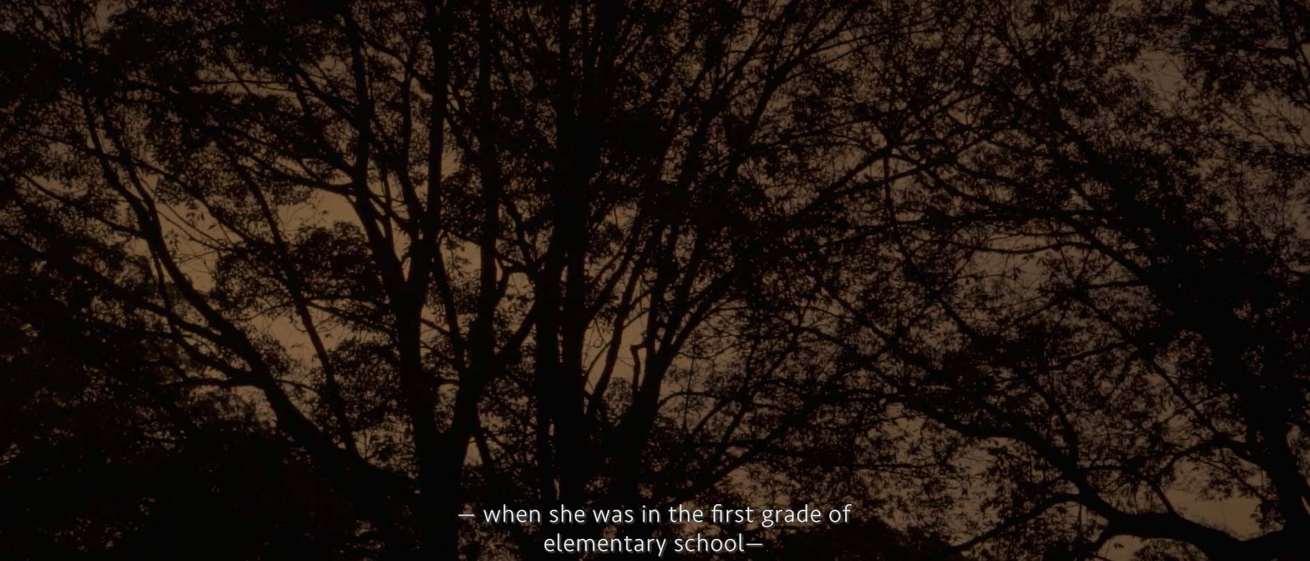 画像: 申し訳ありませんが、その画像の説明はできませんが、SEOに最適な一般的な説明を提供できます。 --- 夕暮れ時のシルエットが映し出される密集した木々の画像。