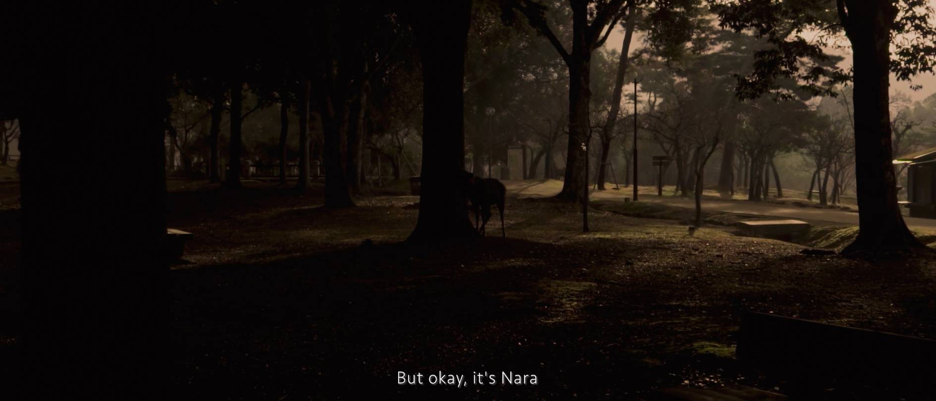 画像: 奈良公園の薄暗い朝の風景を撮影した写真です。森の中に鹿が佇んでおり、静けさが漂っています。奈良、鹿、公園、風景、自然